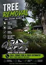 Logo for Diamond Cut Lawn And Landscape