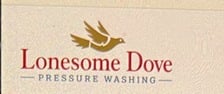 Avatar for Lonesome Dove Pressure Washing Services ENT, LLC