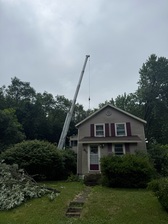 Avatar for Trierweiler Tree Service