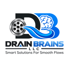Avatar for Drain Brains LLC