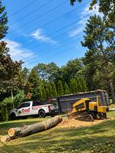 Logo for TX Pacific Tree Services