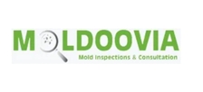 Avatar for Moldoovia