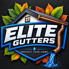 Avatar for Elite Gutters