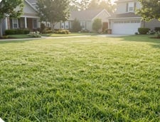 Avatar for Craven premier lawn care