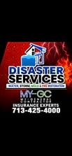 Avatar for Disaster Services