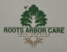 Avatar for Roots Arbor Care Tree Service LLC
