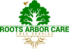 Avatar for Roots Arbor Care Tree Service LLC