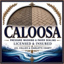 Avatar for Caloosa Pressure Washing Paver Ceiling