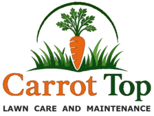 Avatar for Carrot Top Lawn Care and Maintenance LLC