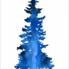 Avatar for Blue Pine Tree Service