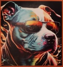Avatar for Pitbull Enterprize LLC