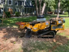 Avatar for Shupp's Stump Grinding, LLC