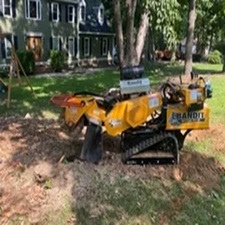 Avatar for Shupp's Stump Grinding, LLC