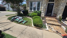 Avatar for Nicolás Landscaping