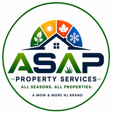 Avatar for ASAP Property Services