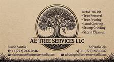 Avatar for AE TREE services