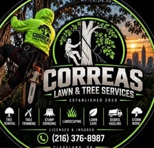 Avatar for Correas Lawn & Tree
