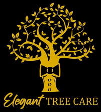 Avatar for Elegant Tree Care LLC