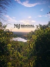 Avatar for NJ Removal