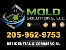 Avatar for Mold Solutions