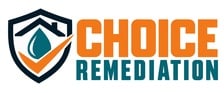 Avatar for Choice Remediation