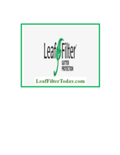 Avatar for Leaf Filter Today