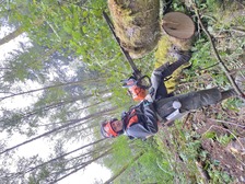 Avatar for Coast Range Tree Service, Inc.