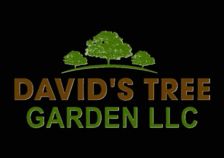 Logo for Davids Tree Garden, LLC