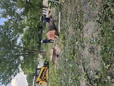 Avatar for Green Eco's Tree Service