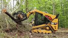 Green Eco's Tree Service logo