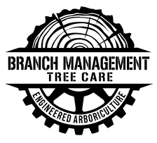Avatar for Branch Management Tree Care LLC