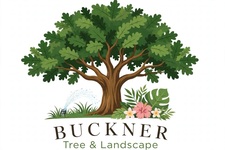 Avatar for Buckner Tree & Landscape