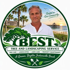 Avatar for Best Tree And Landscaping Service