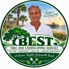 Avatar for Best Tree And Landscaping Service
