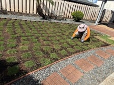 Avatar for Cadiz Landscaping and Yard Services