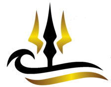 Avatar for Trident Roof Solutions