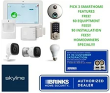 Avatar for Skyline Security Management, Inc.