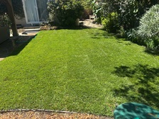 Avatar for Suazo Landscaping & Irrigation