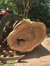 Avatar for Tesla Tree Care