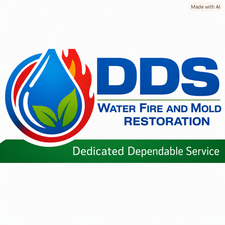 Logo for DDS Services
