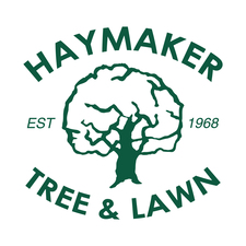 Haymaker Tree and Lawn, Inc. logo