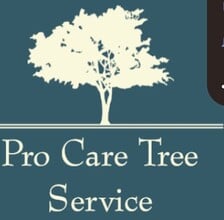 Avatar for Pro Care LLC