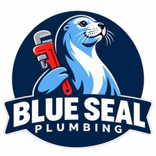 Blue Seal Plumbing LLC logo