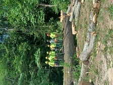 Avatar for Ochoa Tree Service
