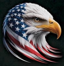 Avatar for Stars & Stripes Construction LLC