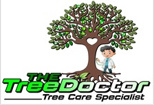Logo for Tree Doc.
