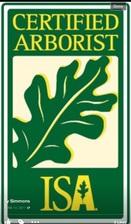 Cisneros Tree Care logo