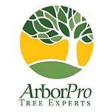 Logo for Arbor Pro Tree Experts