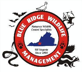 Blue Ridge Wildlife Management, LLC logo