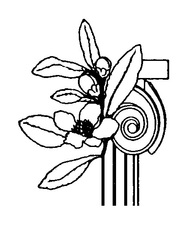 Avatar for Garden Traditions